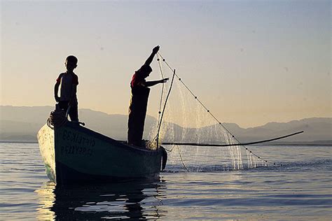 Balıkçı resmi